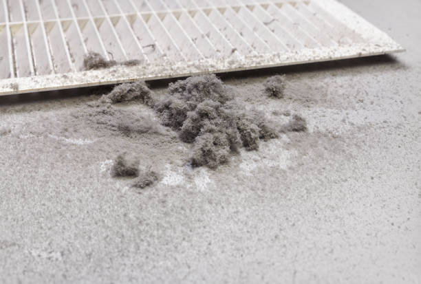 Best Air Duct Mold Removal  in Merritt Island, FL