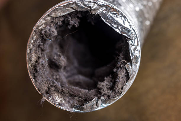 Air Duct Mold Removal in FL